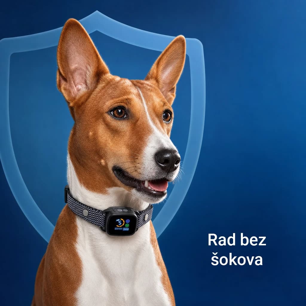 Barkbliss thumbnail 2