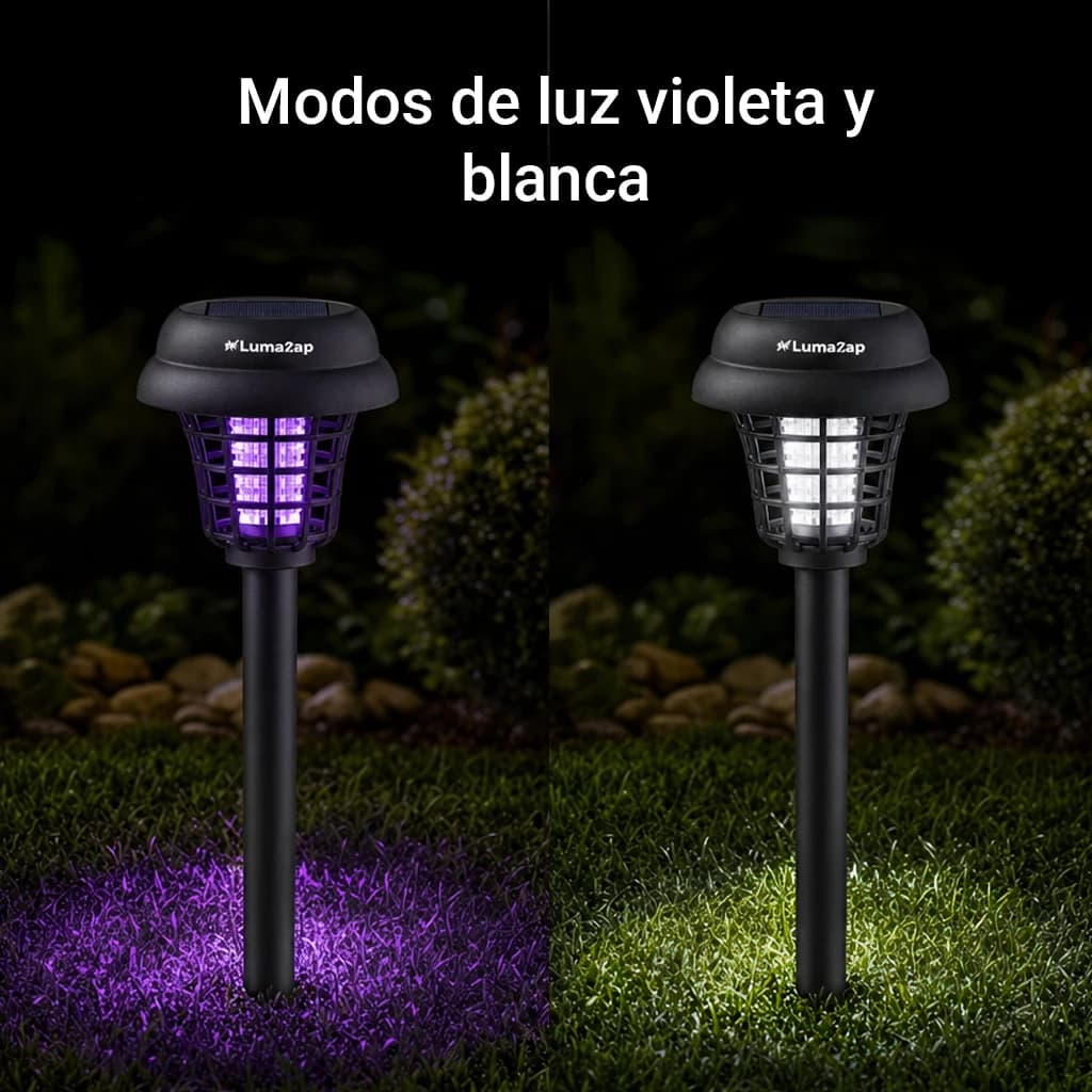 LumaZap thumbnail 5