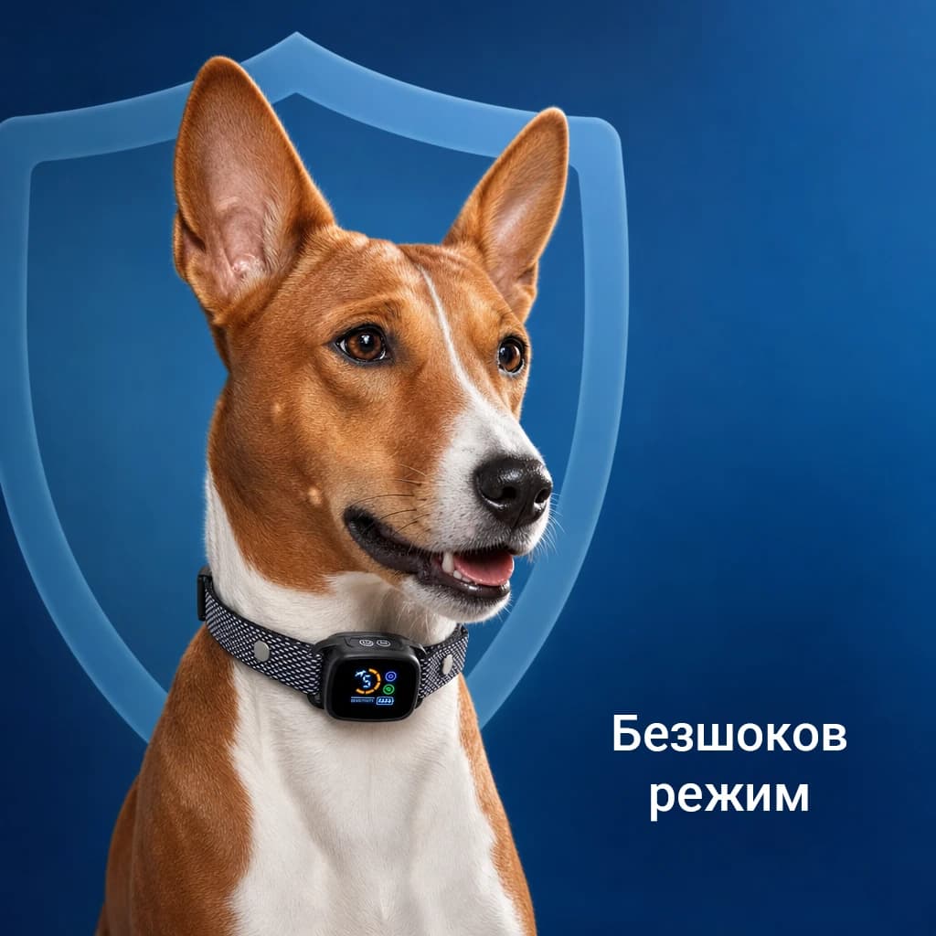 Barkbliss thumbnail 2
