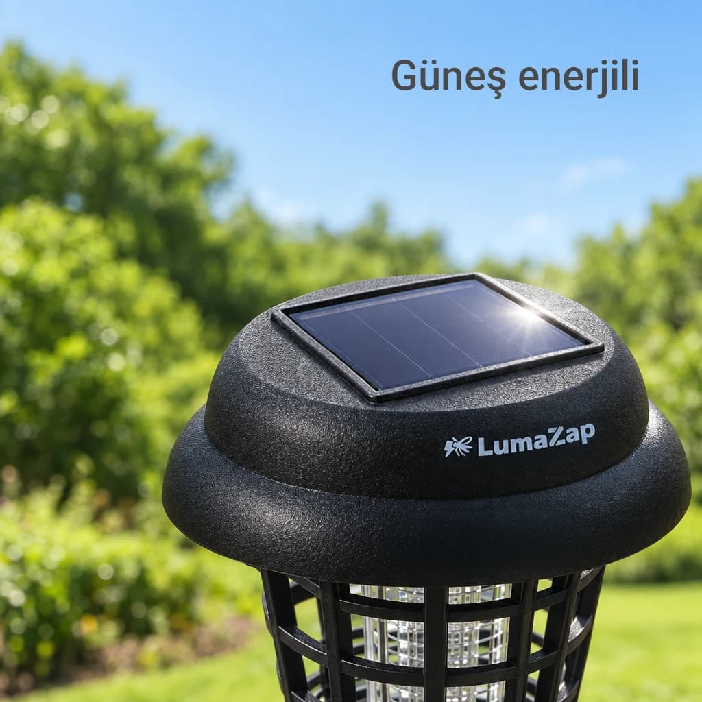 LumaZap thumbnail 4