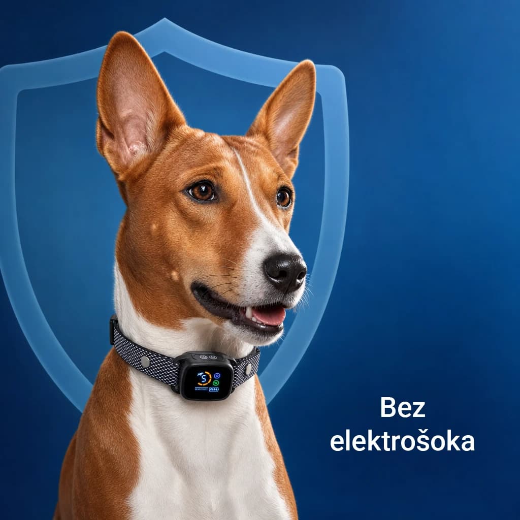 Barkbliss thumbnail 2