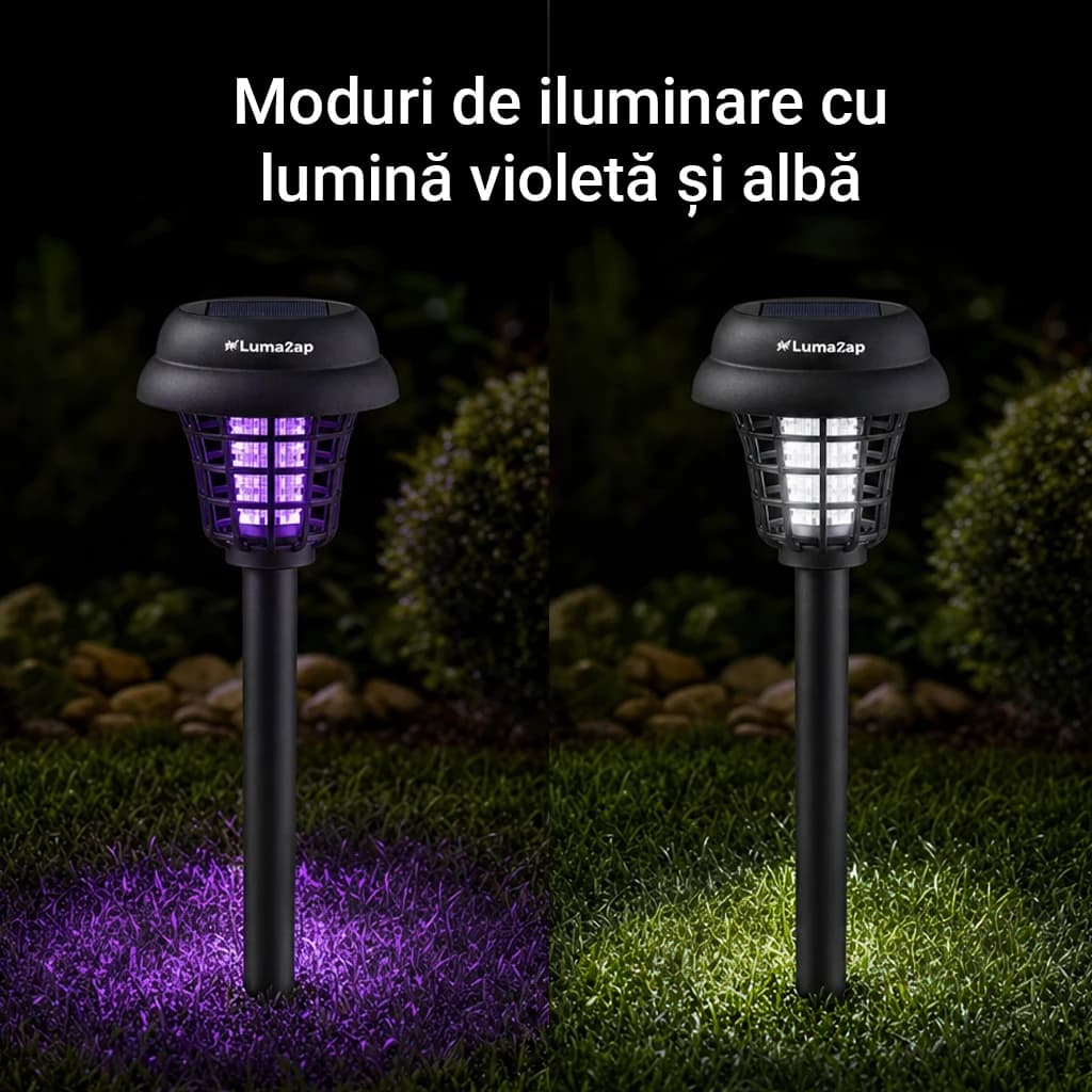 LumaZap thumbnail 5