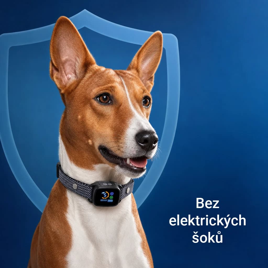 Barkbliss thumbnail 2