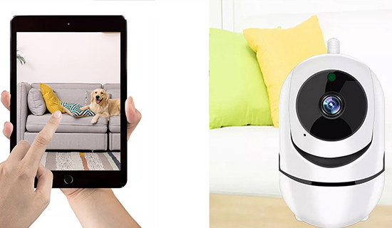 SeeMyPet Cam