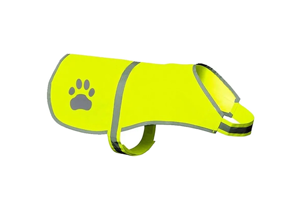 SafetyPup
