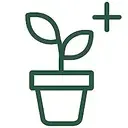 Helps plants stay healthier in low‑light conditions