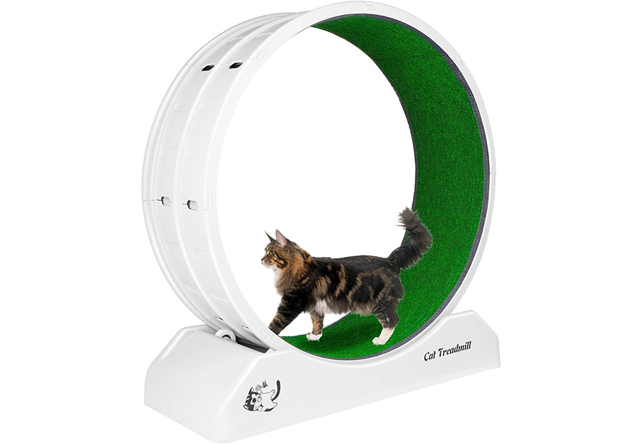 WhiskerWheel